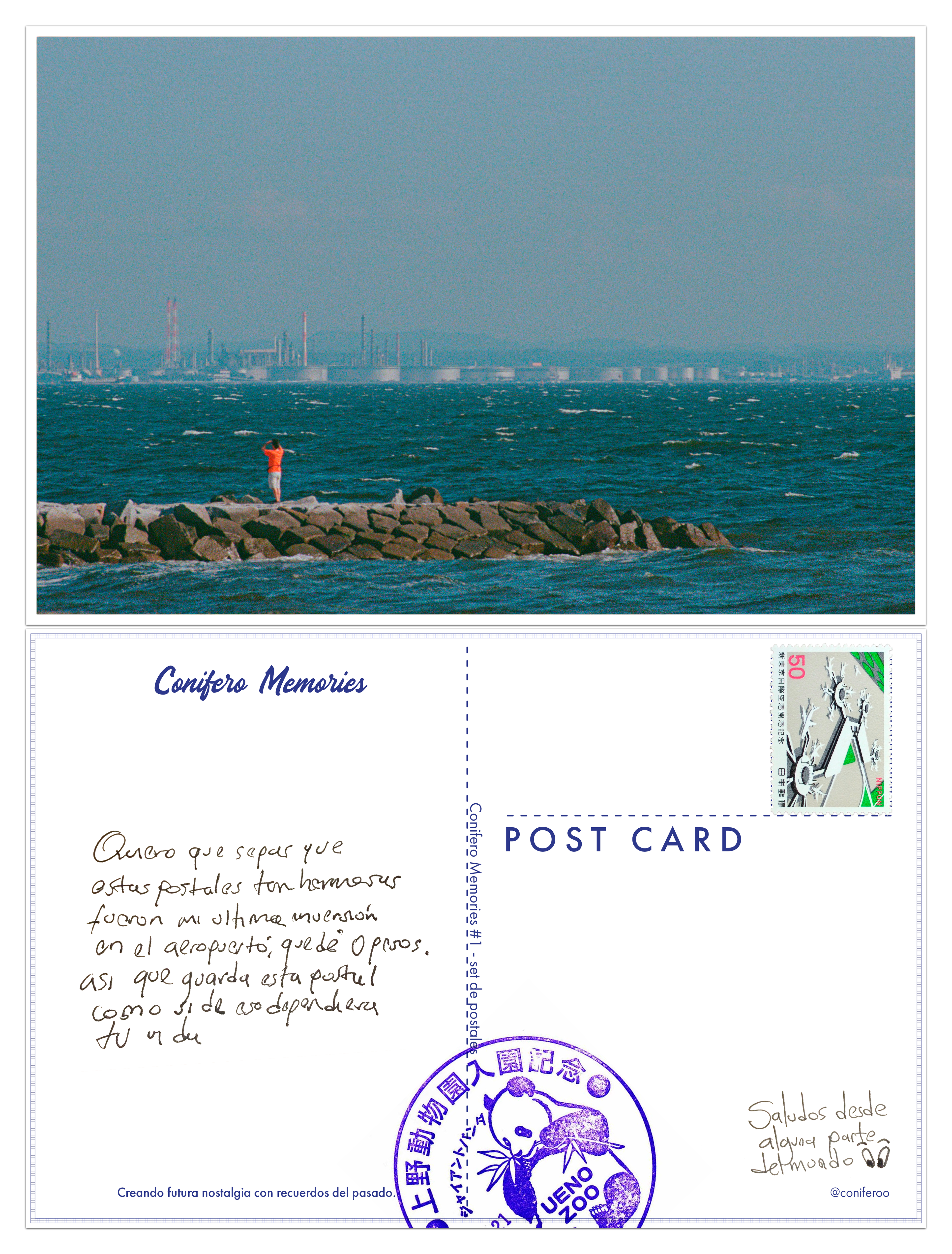 Set de cinco postales "Conifero Memories" #1