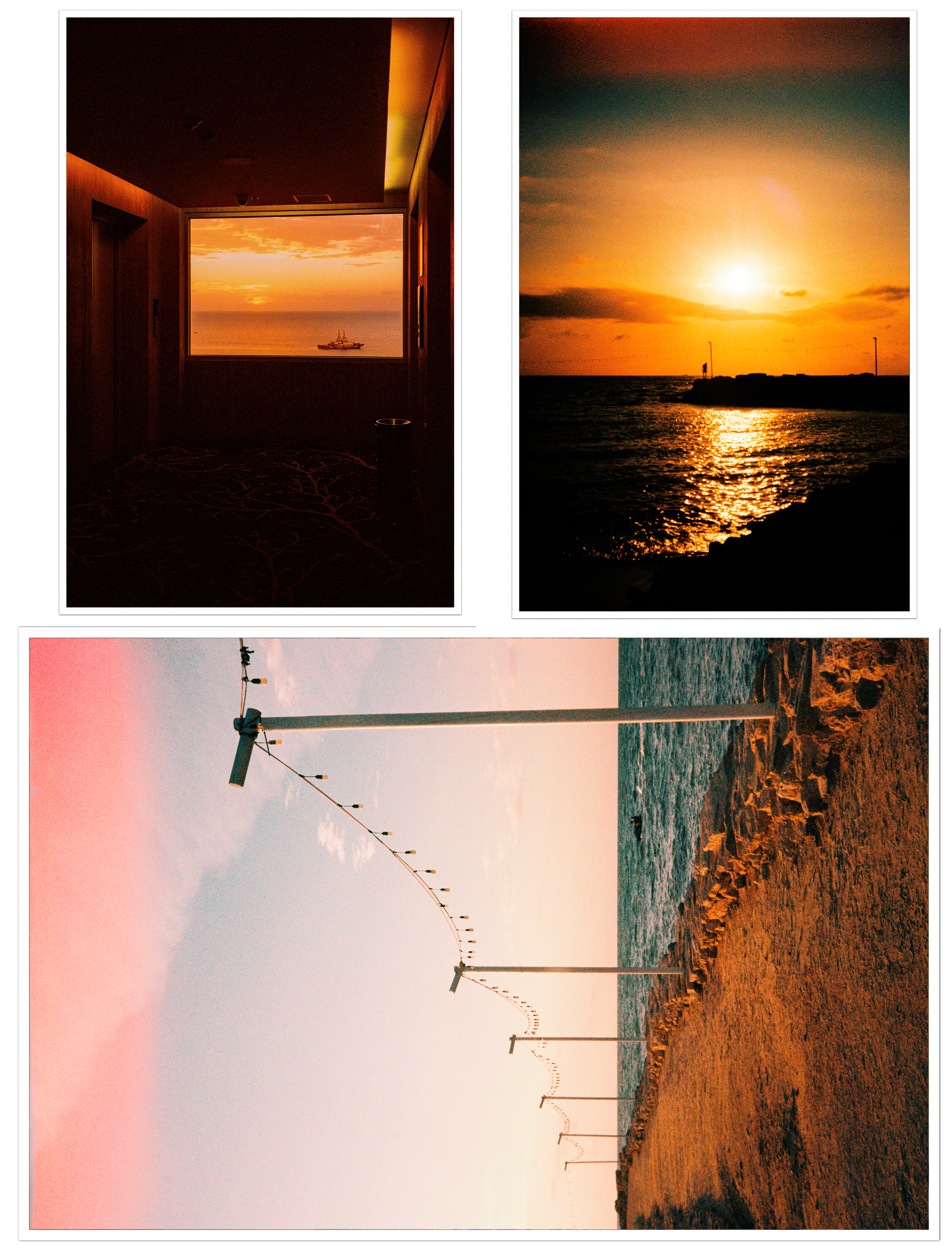 Set de cinco postales "Conifero Memories" #1